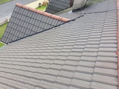 After Roof Cleaned