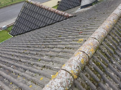 Before Roof Cleaned