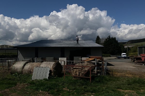 farm-shed-painting-Laois (43)